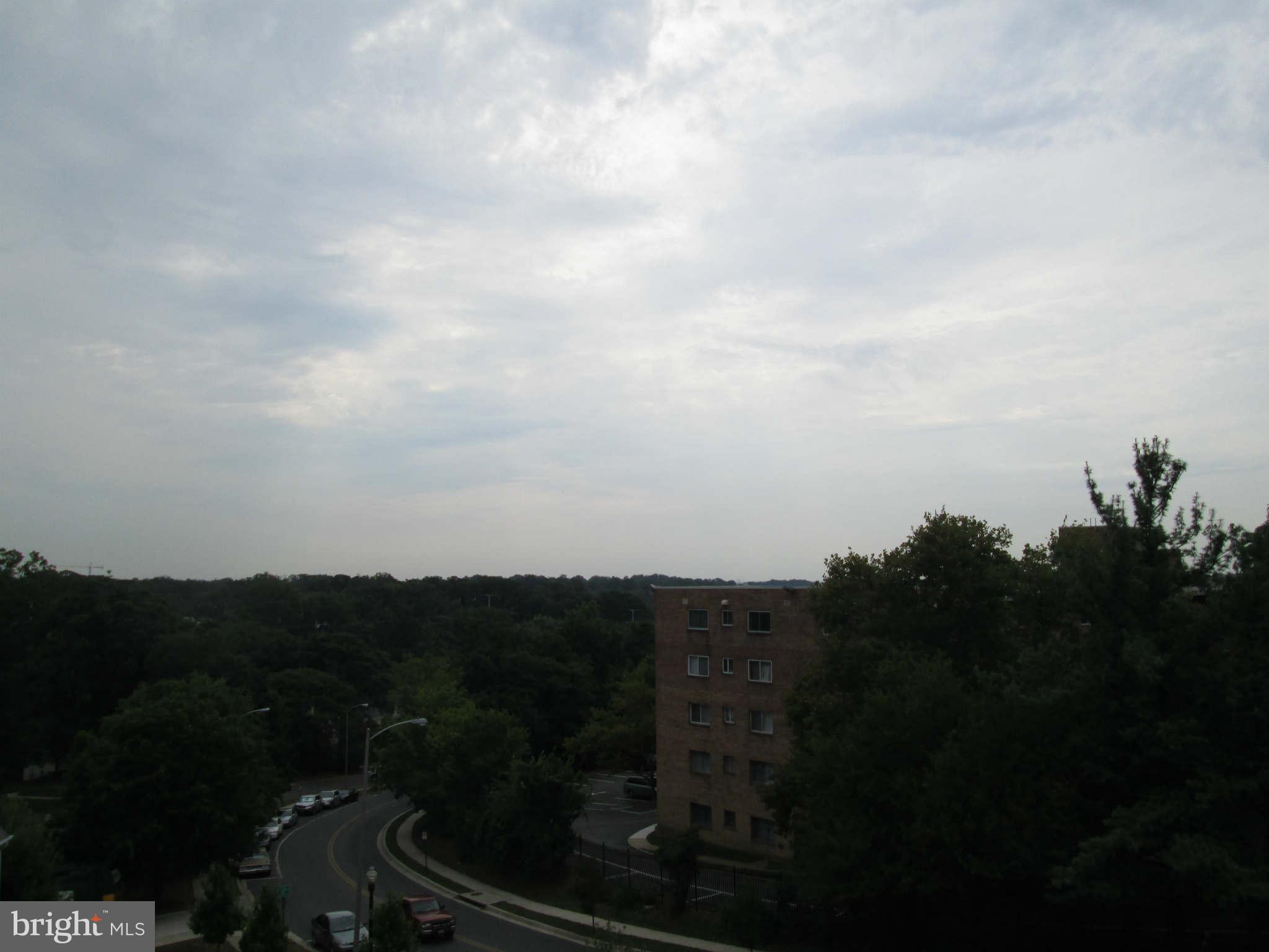 4905 7th Road South Arlington, VA 22204 - Photo 25 of 30 View