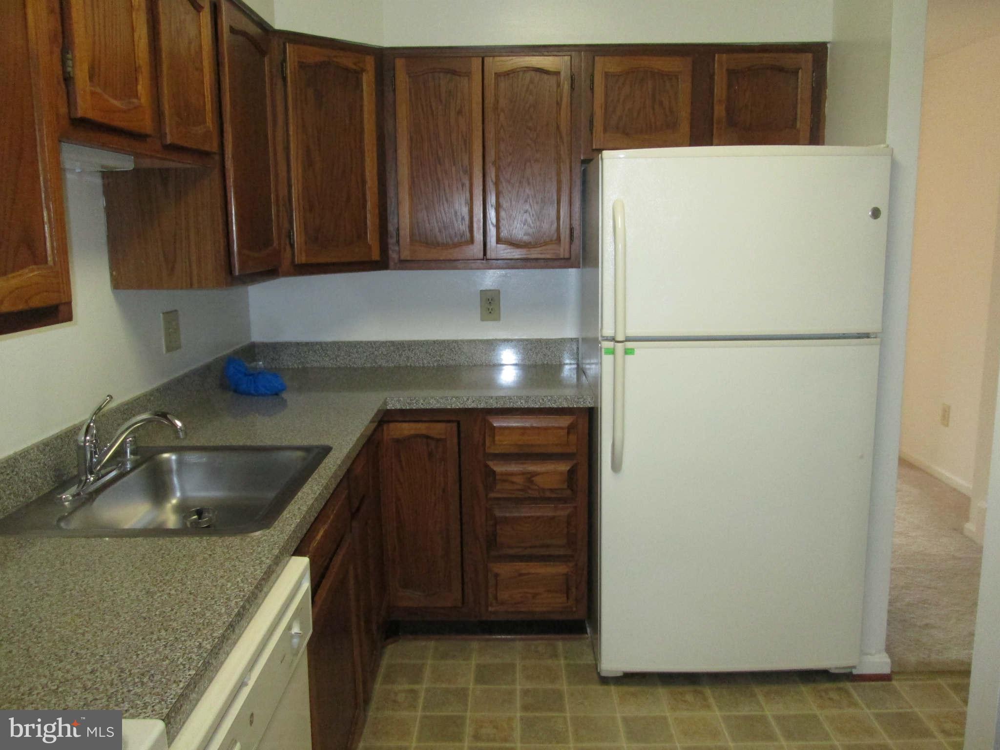4905 7th Road South Arlington, VA 22204 - Photo 4 of 30 Kitchen