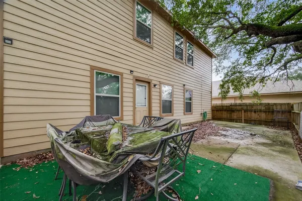 a view of a backyard with plants and large trees