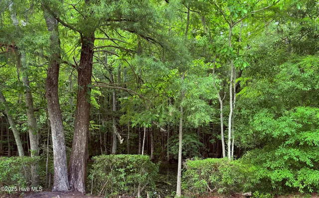 $525,000 | 2810 Canal Cove Road, Lake Waccamaw, NC 28450