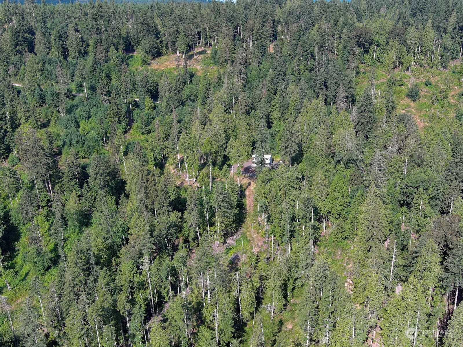 606 Whitney Road Quilcene, WA 98376 - Photo 3 of 29 Gallery Image 3