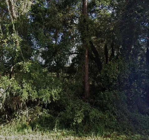 $23,000 | Northeast 234th Place Road, Fort McCoy, FL 32134