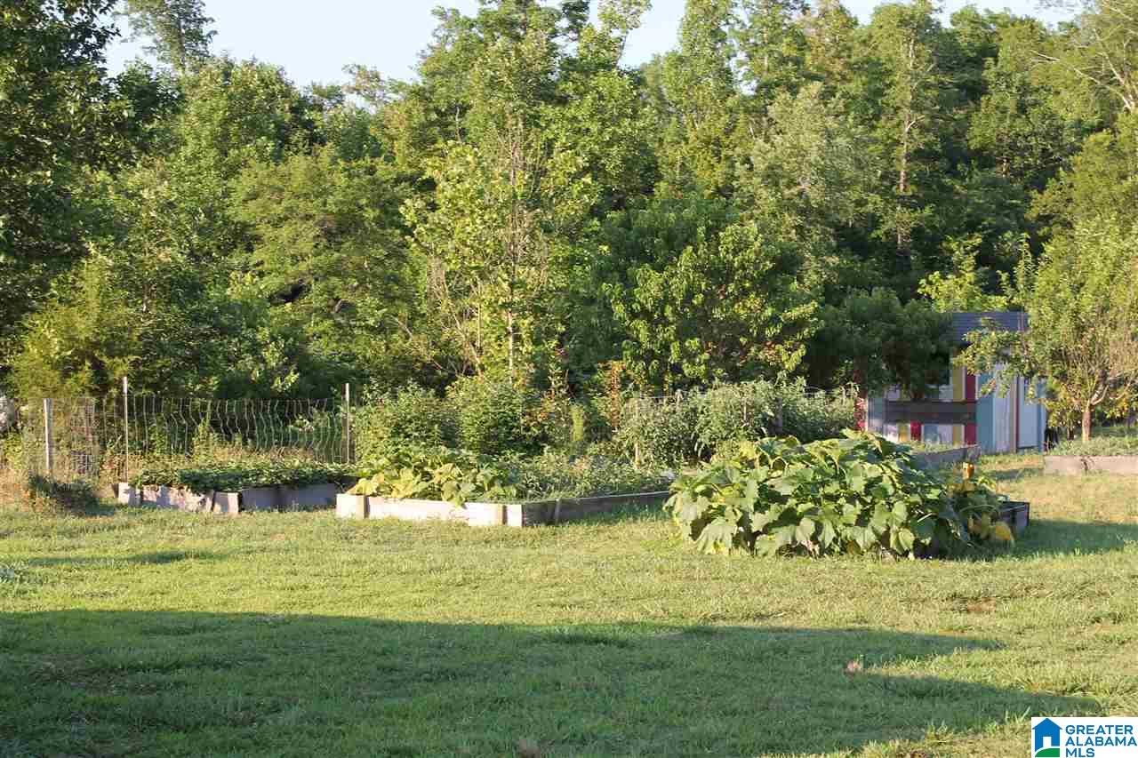 153 Ranch Road Jacksonville, AL 36265 - Photo 21 of 28
