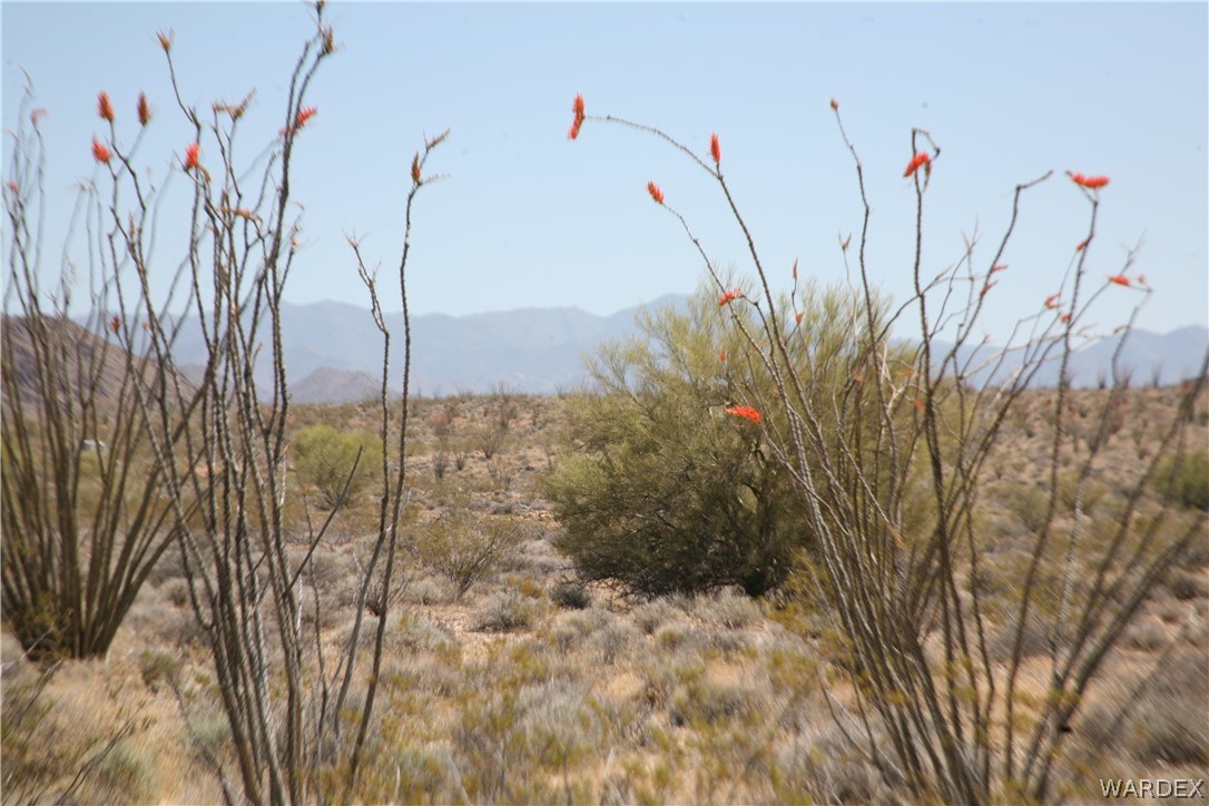 245-24-067a Lorton Road Yucca, AZ 86438 - Photo 33 of 42