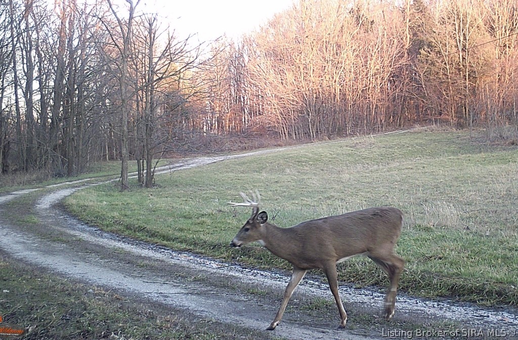 68.76-ac Quarry Line Road Corydon, IN 47112 - Photo 12 of 39