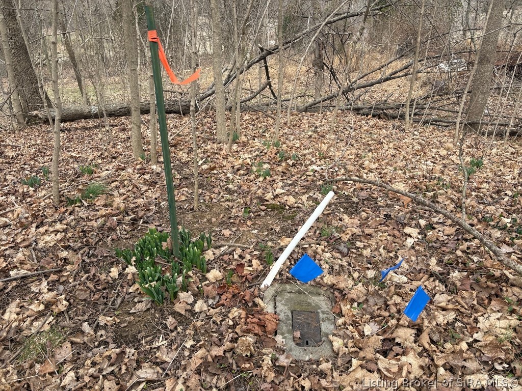 68.76-ac Quarry Line Road Corydon, IN 47112 - Photo 3 of 39
