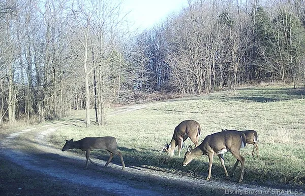 $429,900 | 68.76-ac Quarry Line Road, Corydon, IN 47112