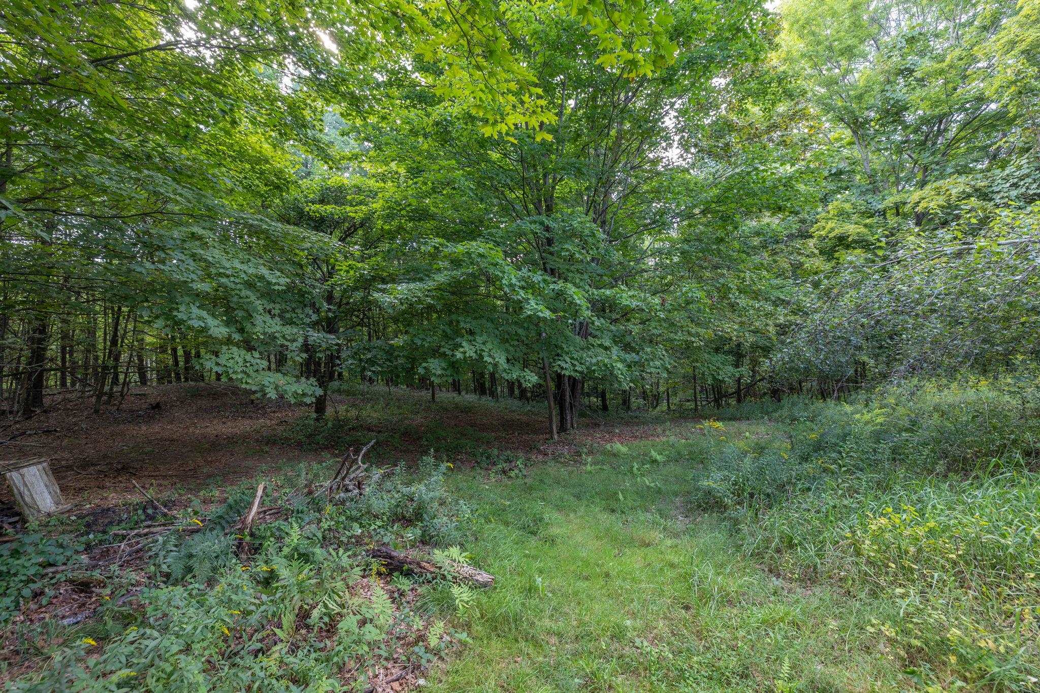 29 Twist Hill Road Dunbarton, NH 03046 - Photo 7 of 39