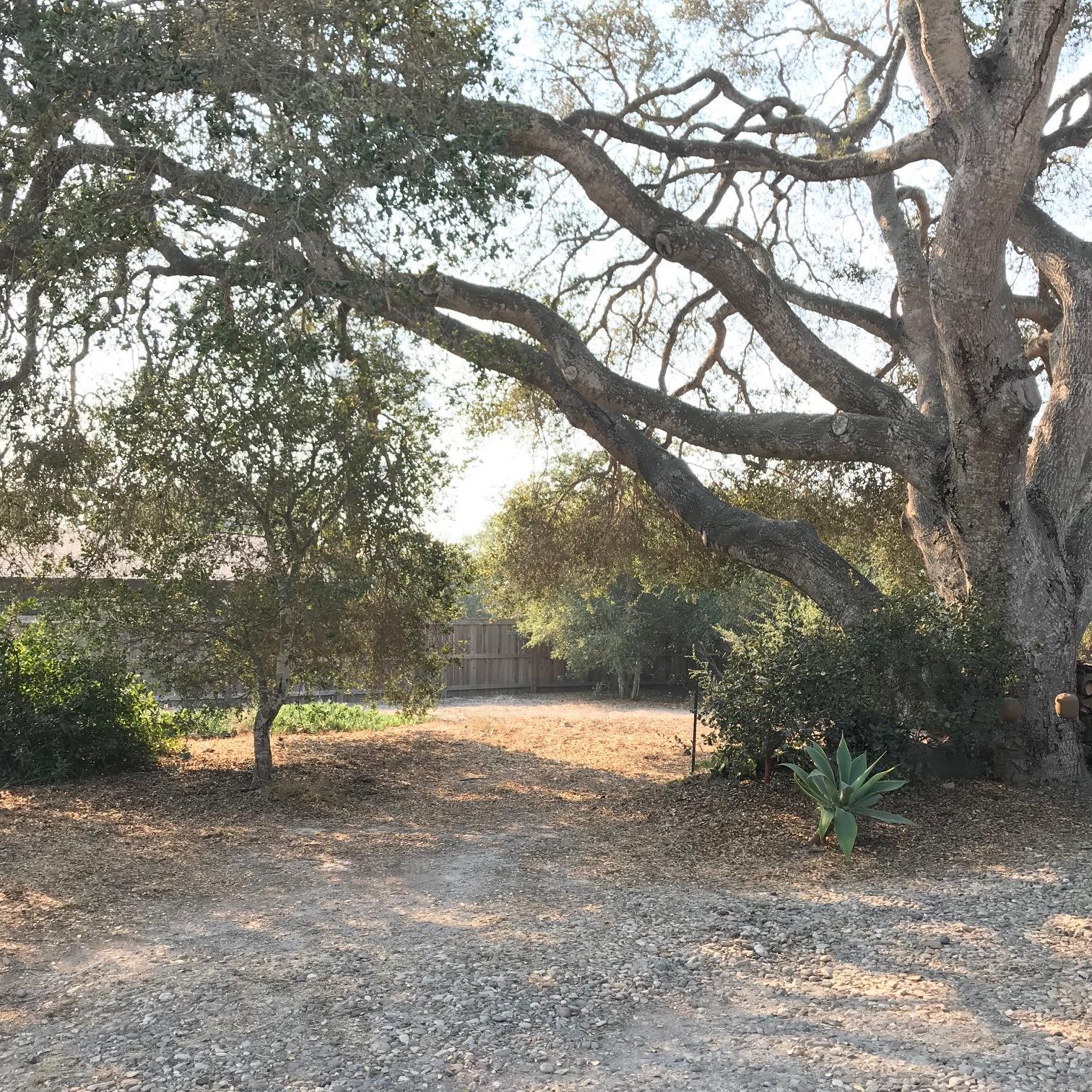 2511 Medcliff Road Santa Barbara, CA 93109 - Photo 5 of 8 a view of outdoor space with trees