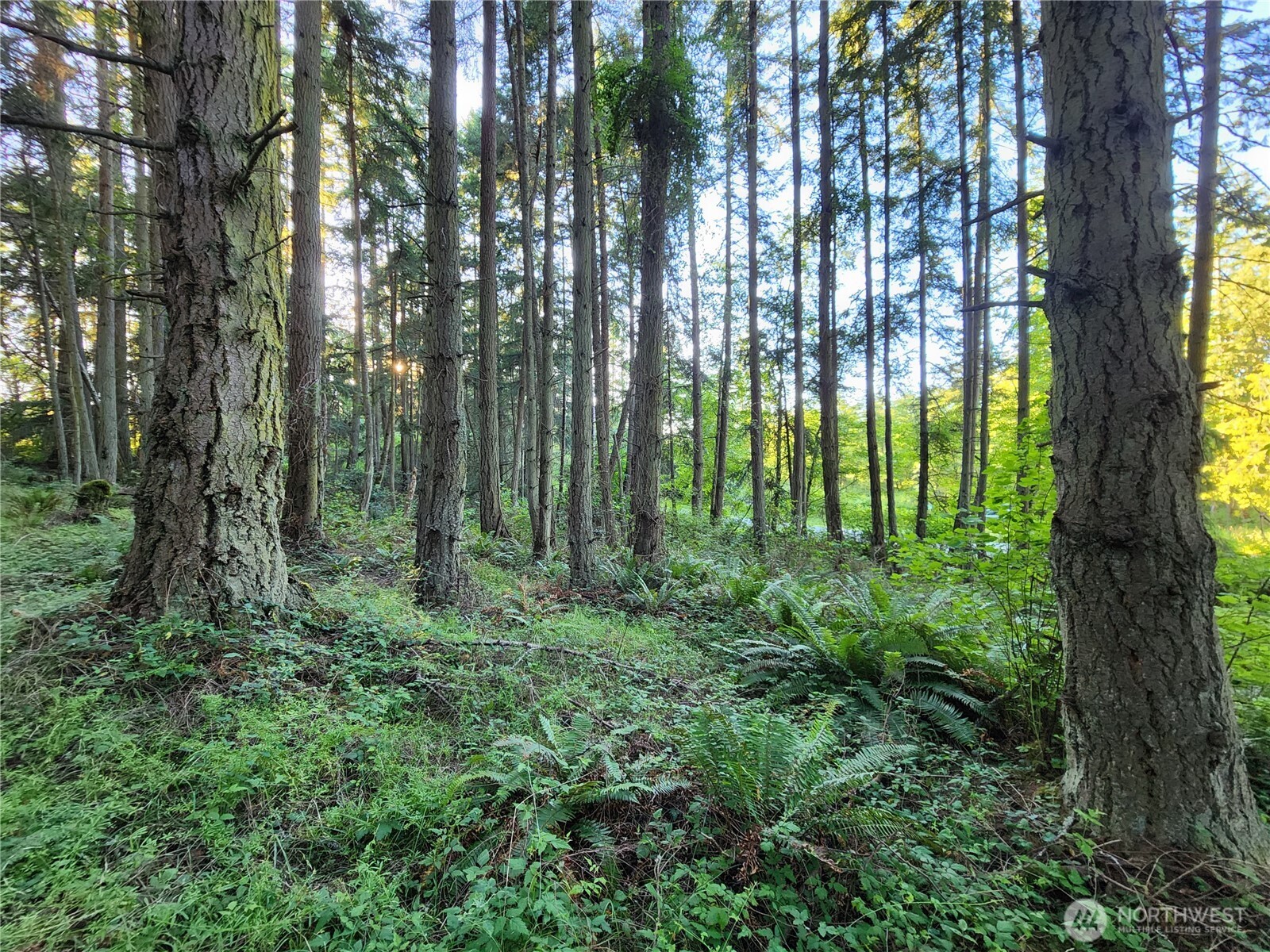 1664 Lancaster Road Freeland, WA 98249 - Photo 8 of 13