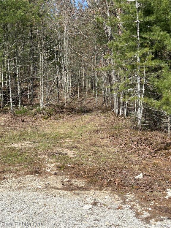 251N South Lake Michigan Road Gulliver, MI 49840 - Photo 20 of 42
