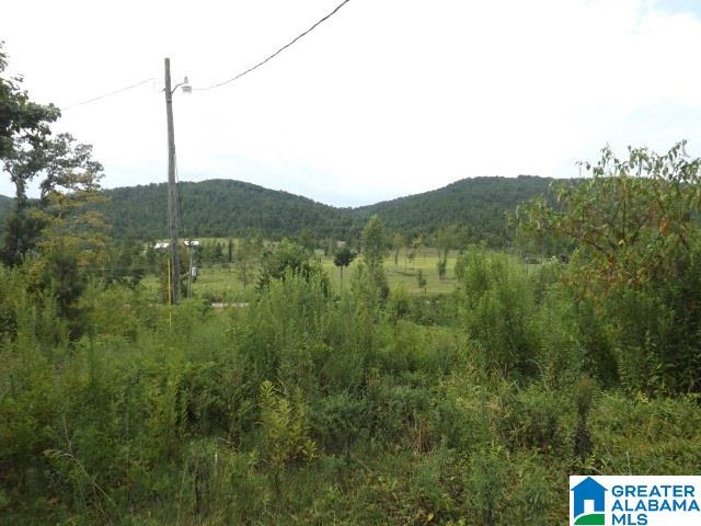 0 Shoal Creek Road Ashville, AL 35953 - Photo 7 of 25