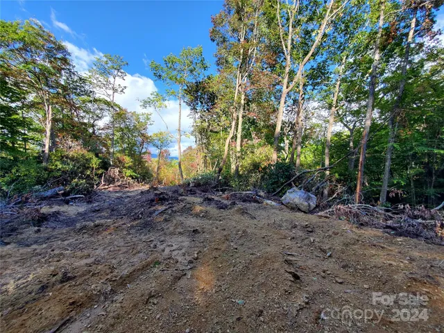 a view of a yard with plants and trees
