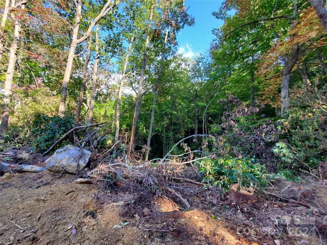 a backyard of a house with lots of trees