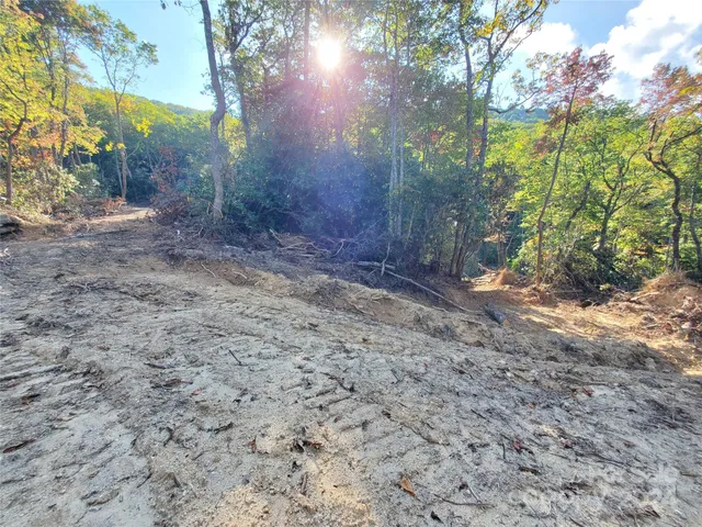 a view of a yard with trees