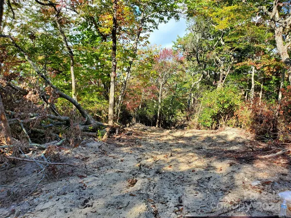 a view of outdoor space with trees