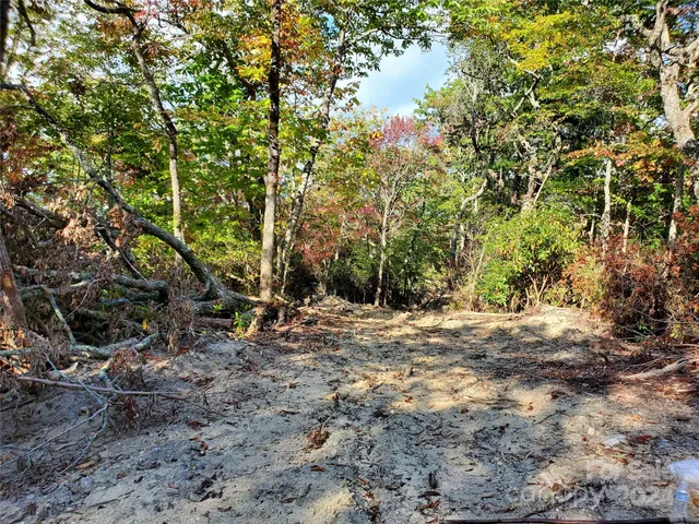 a view of outdoor space with trees