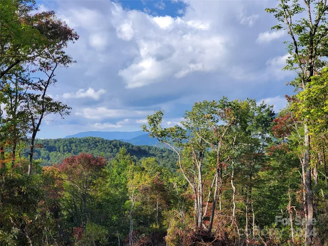a view of an outdoor space