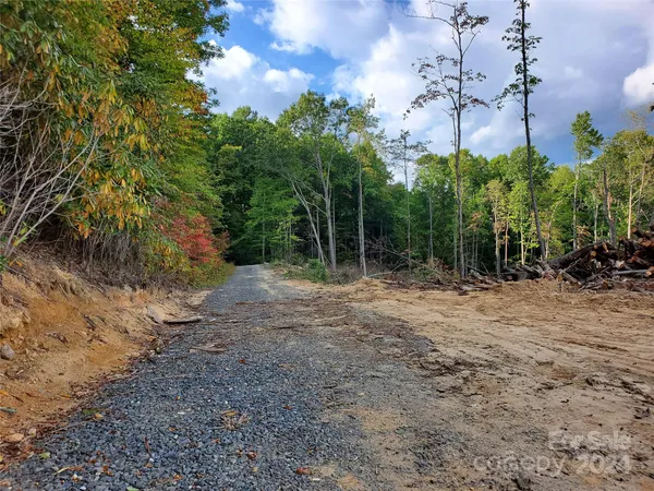 a view of a field with trees in the background