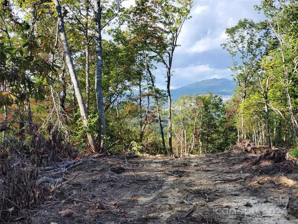 a view of outdoor space and tree