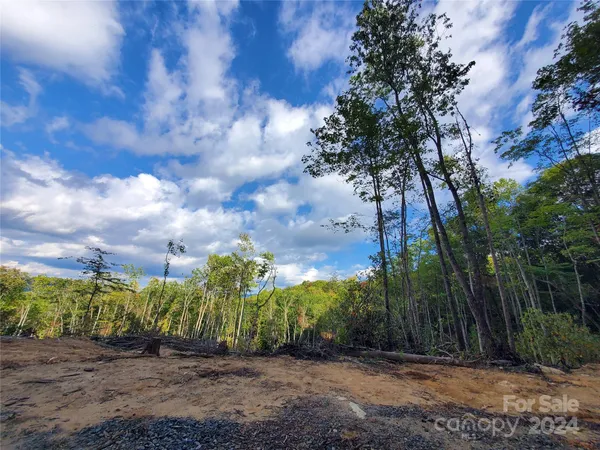 a view of a yard with plants and trees