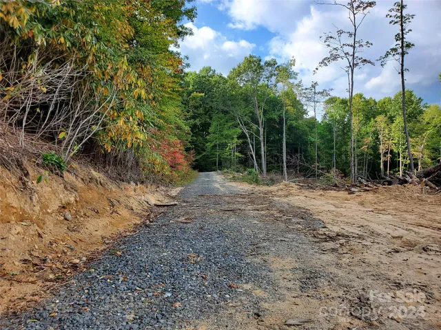 a view of a yard with plants and trees