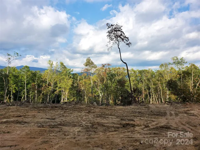 a view of a yard with a tree