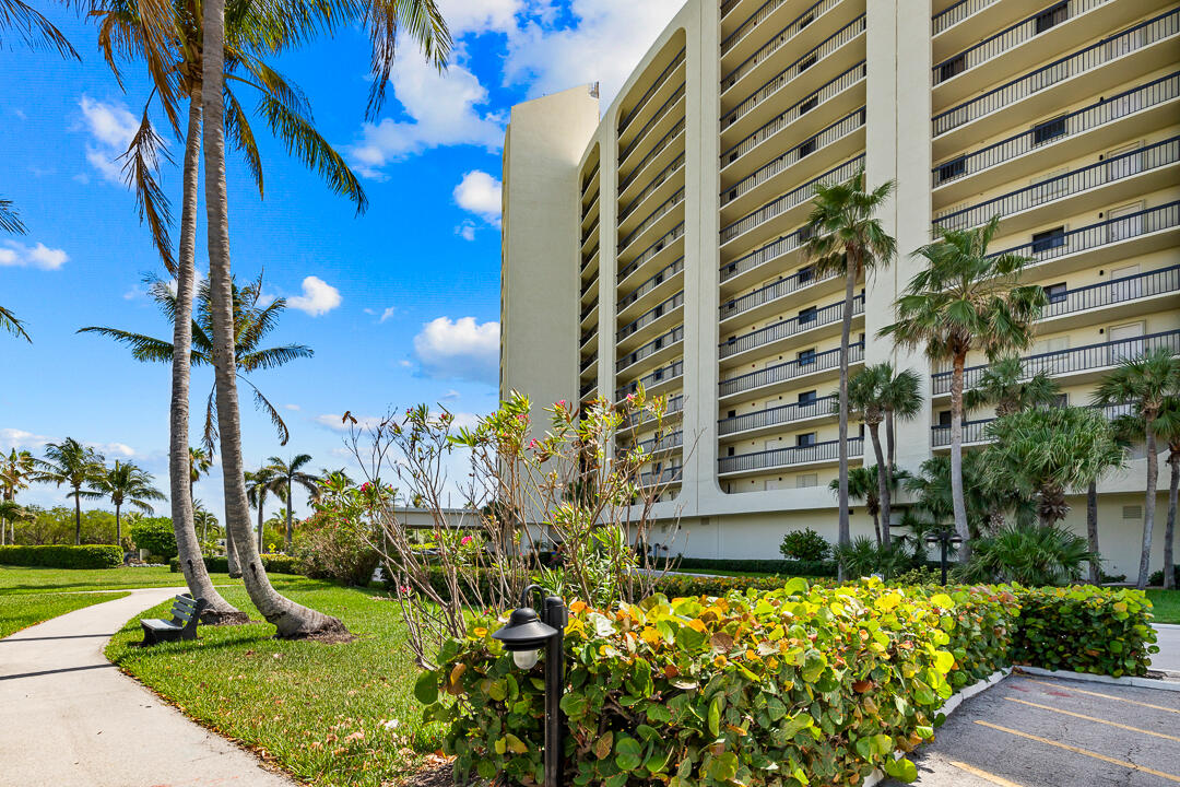 400 Ocean Trail Way, Unit 1108 Jupiter, FL 33477 - Photo 38 of 41 a view of a garden with a pathway