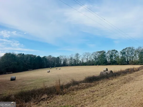 $193,000 | 0 Fouche Road, Unit LOT 2B & 2C, Buena Vista, GA 31803