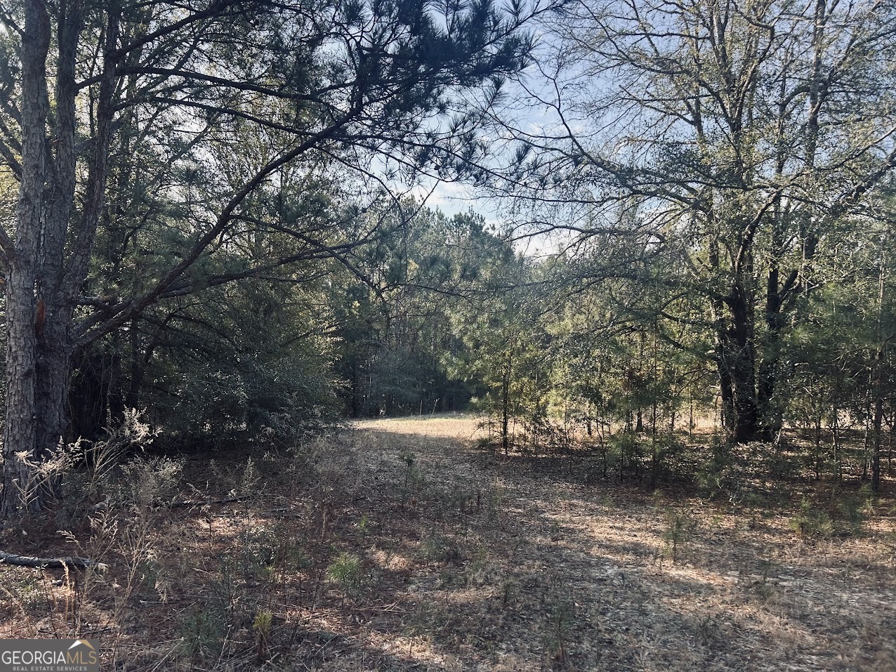 0 Fouche Road, Unit LOT 2B & 2C Buena Vista, GA 31803 - Photo 14 of 40