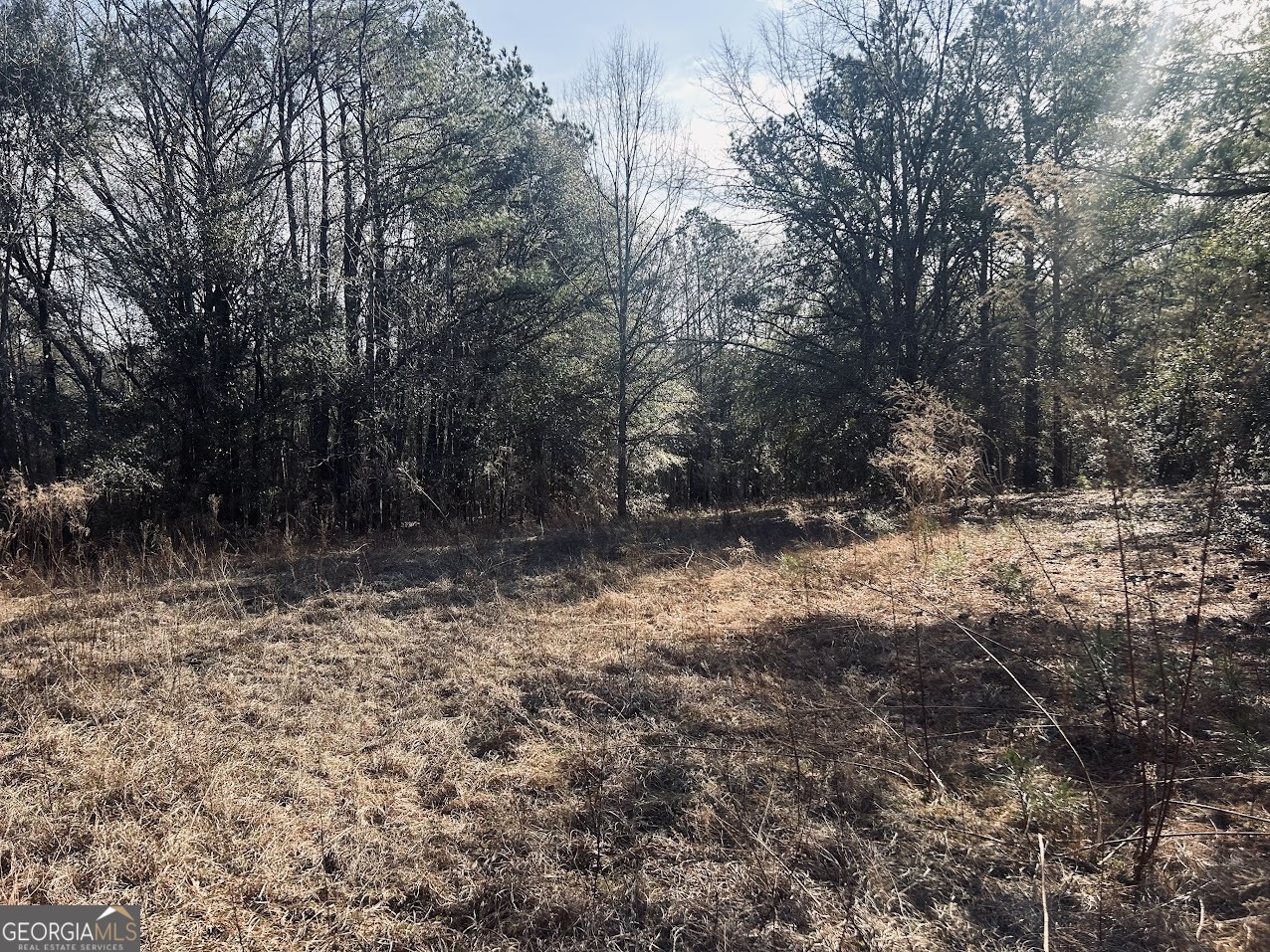 0 Fouche Road, Unit LOT 2B & 2C Buena Vista, GA 31803 - Photo 15 of 40