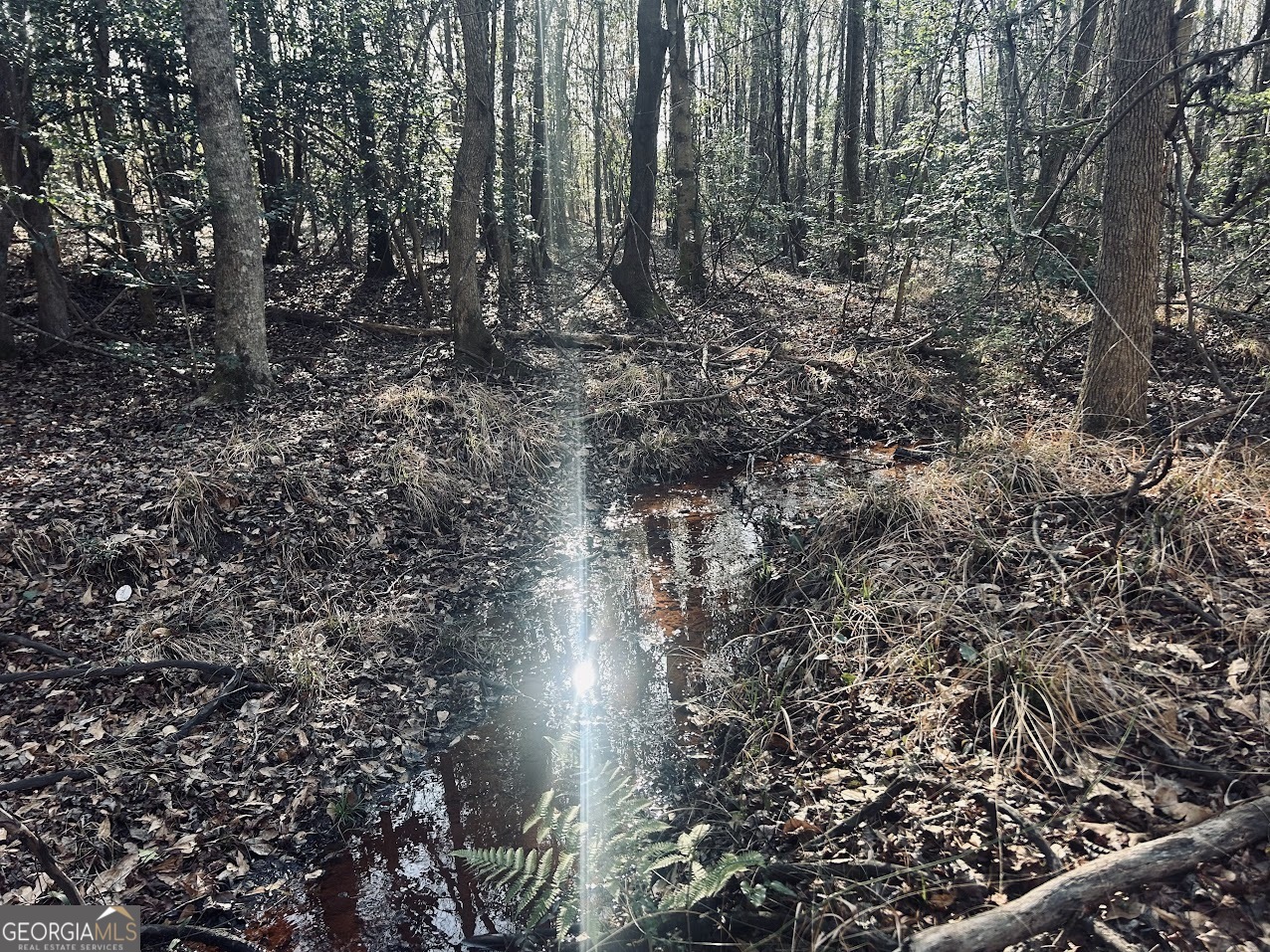 0 Fouche Road, Unit LOT 2B & 2C Buena Vista, GA 31803 - Photo 16 of 40