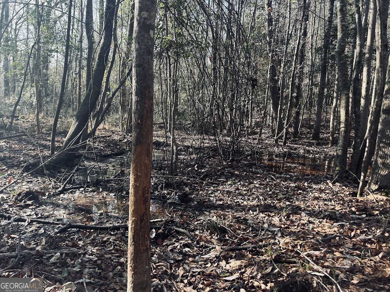 0 Fouche Road, Unit LOT 2B & 2C Buena Vista, GA 31803 - Photo 22 of 40