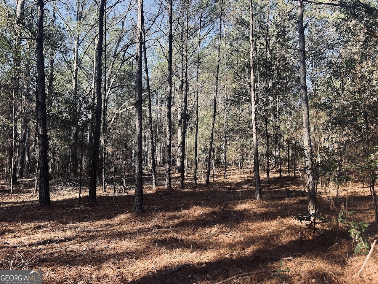 0 Fouche Road, Unit LOT 2B & 2C Buena Vista, GA 31803 - Photo 27 of 40