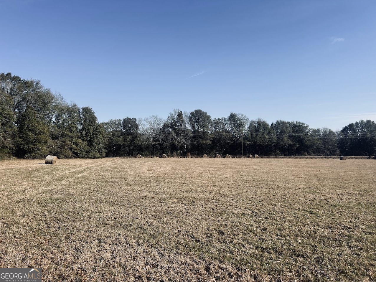 0 Fouche Road, Unit LOT 2B & 2C Buena Vista, GA 31803 - Photo 32 of 40