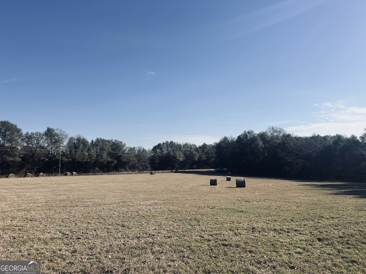 0 Fouche Road, Unit LOT 2B & 2C Buena Vista, GA 31803 - Photo 33 of 40