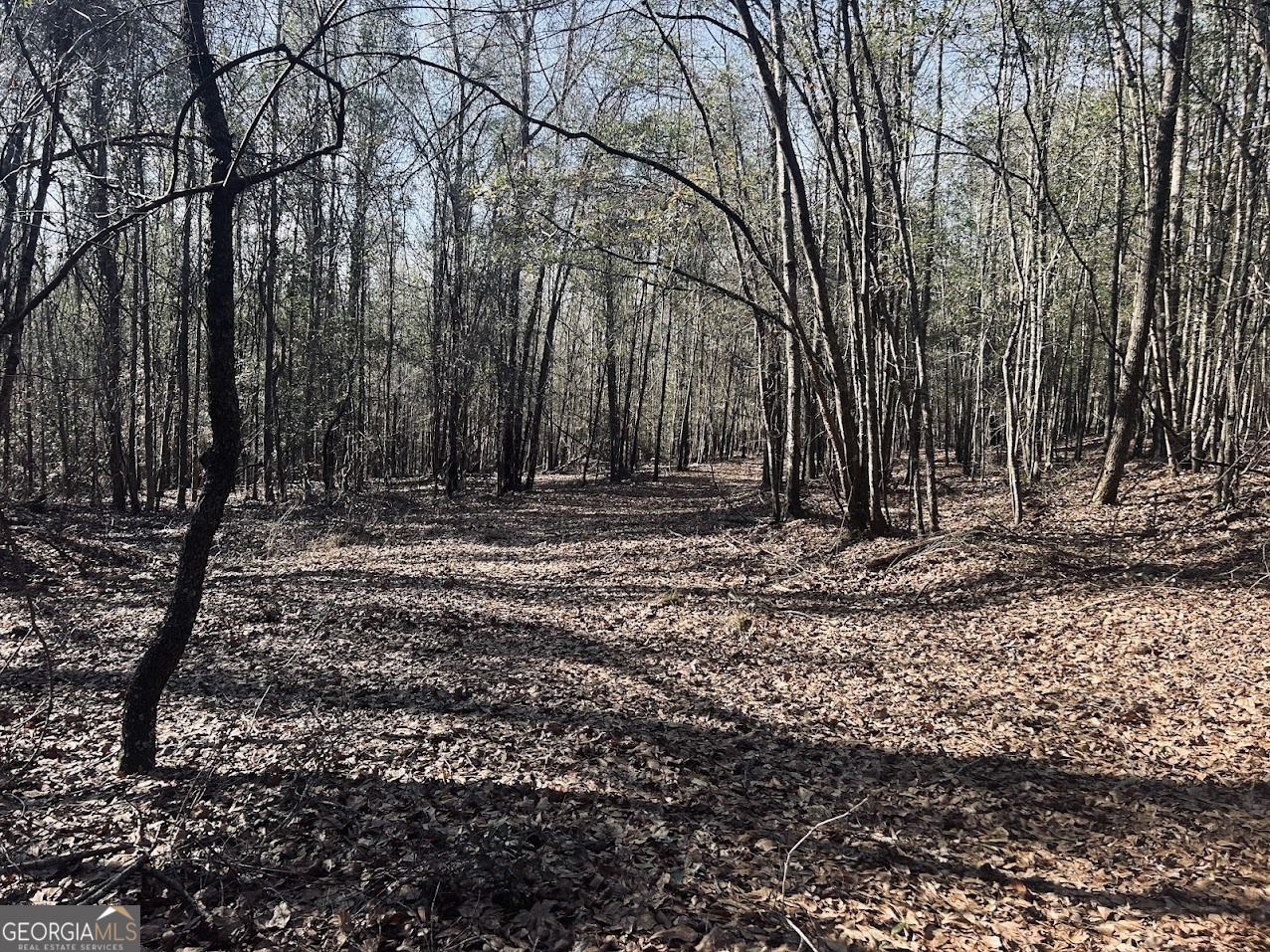 0 Fouche Road, Unit LOT 2B & 2C Buena Vista, GA 31803 - Photo 35 of 40