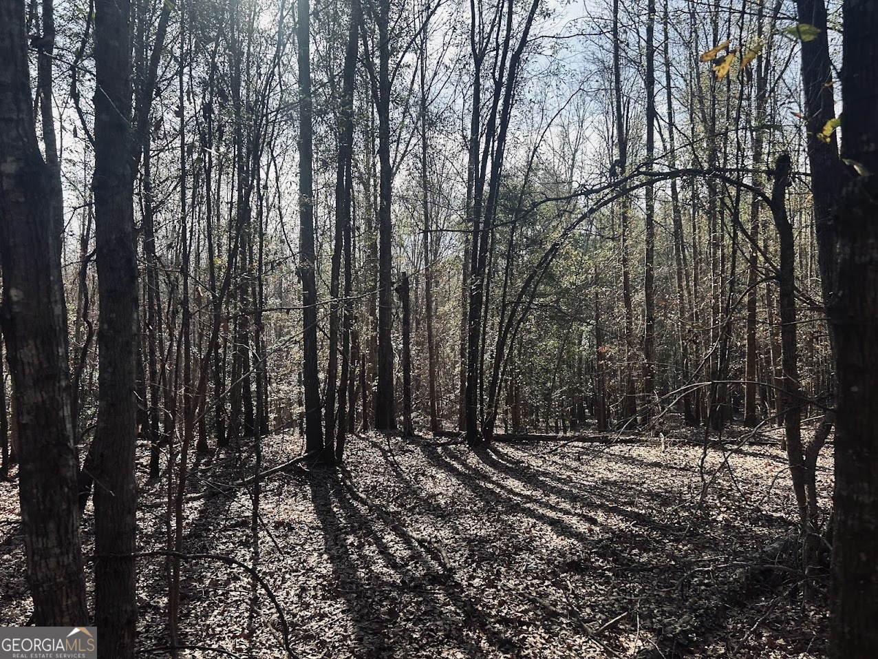 0 Fouche Road, Unit LOT 2B & 2C Buena Vista, GA 31803 - Photo 37 of 40