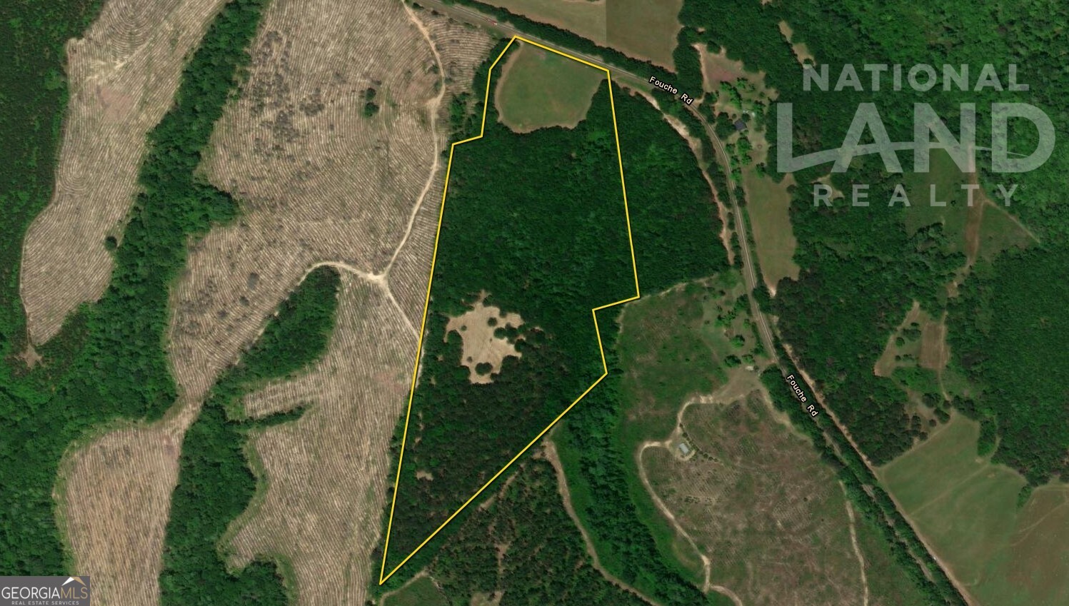 0 Fouche Road, Unit LOT 2B & 2C Buena Vista, GA 31803 - Photo 38 of 40