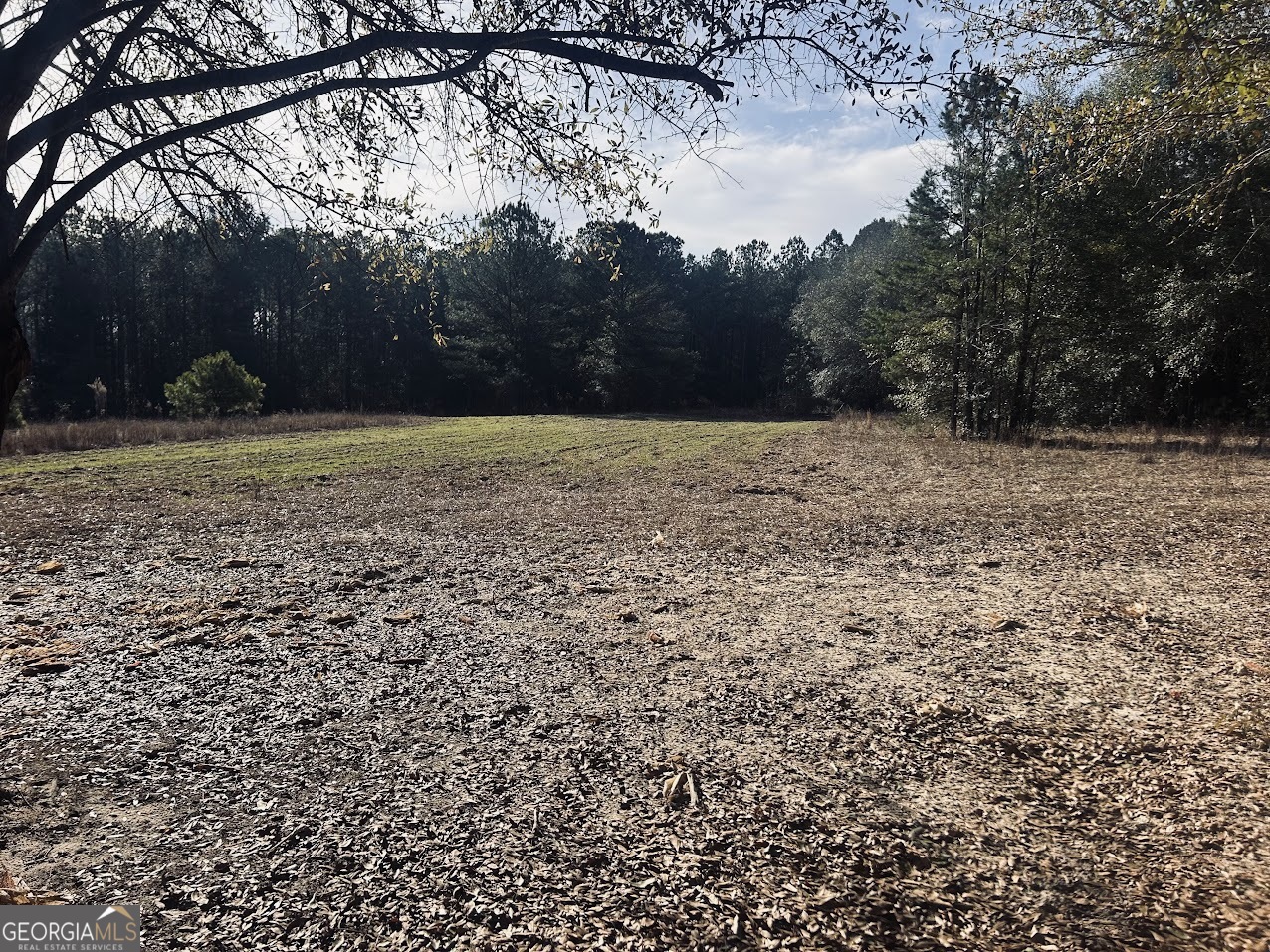 0 Fouche Road, Unit LOT 2B & 2C Buena Vista, GA 31803 - Photo 8 of 40