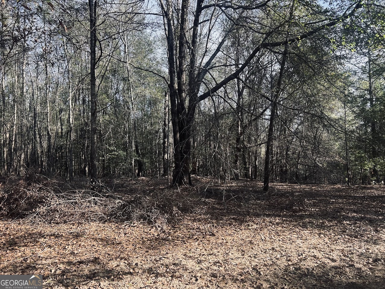 0 Fouche Road, Unit LOT 2B & 2C Buena Vista, GA 31803 - Photo 10 of 40