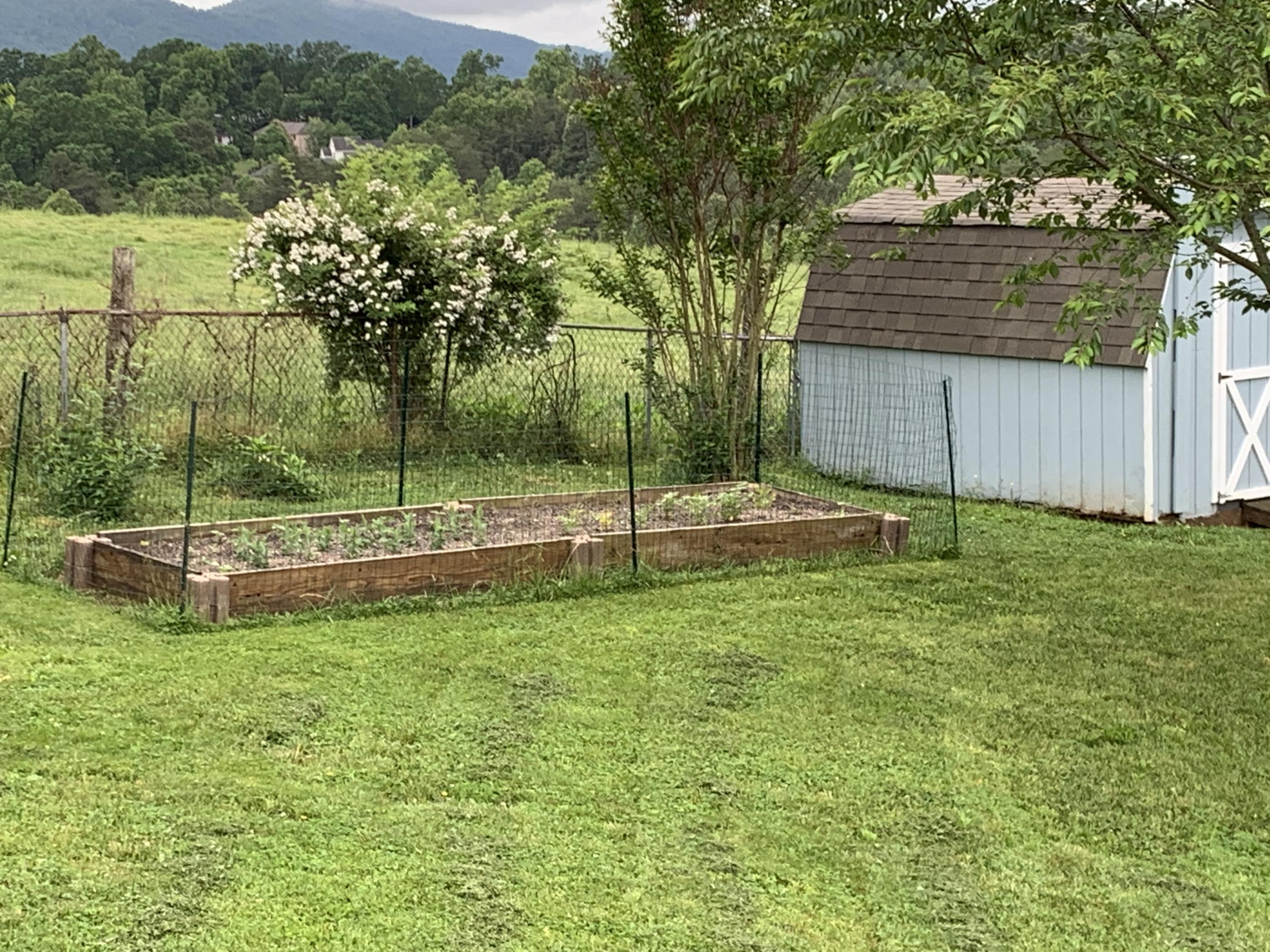 691 Mountain Pass Road Blue Ridge, VA 24064 - Photo 8 of 13 a view of a garden with a slide
