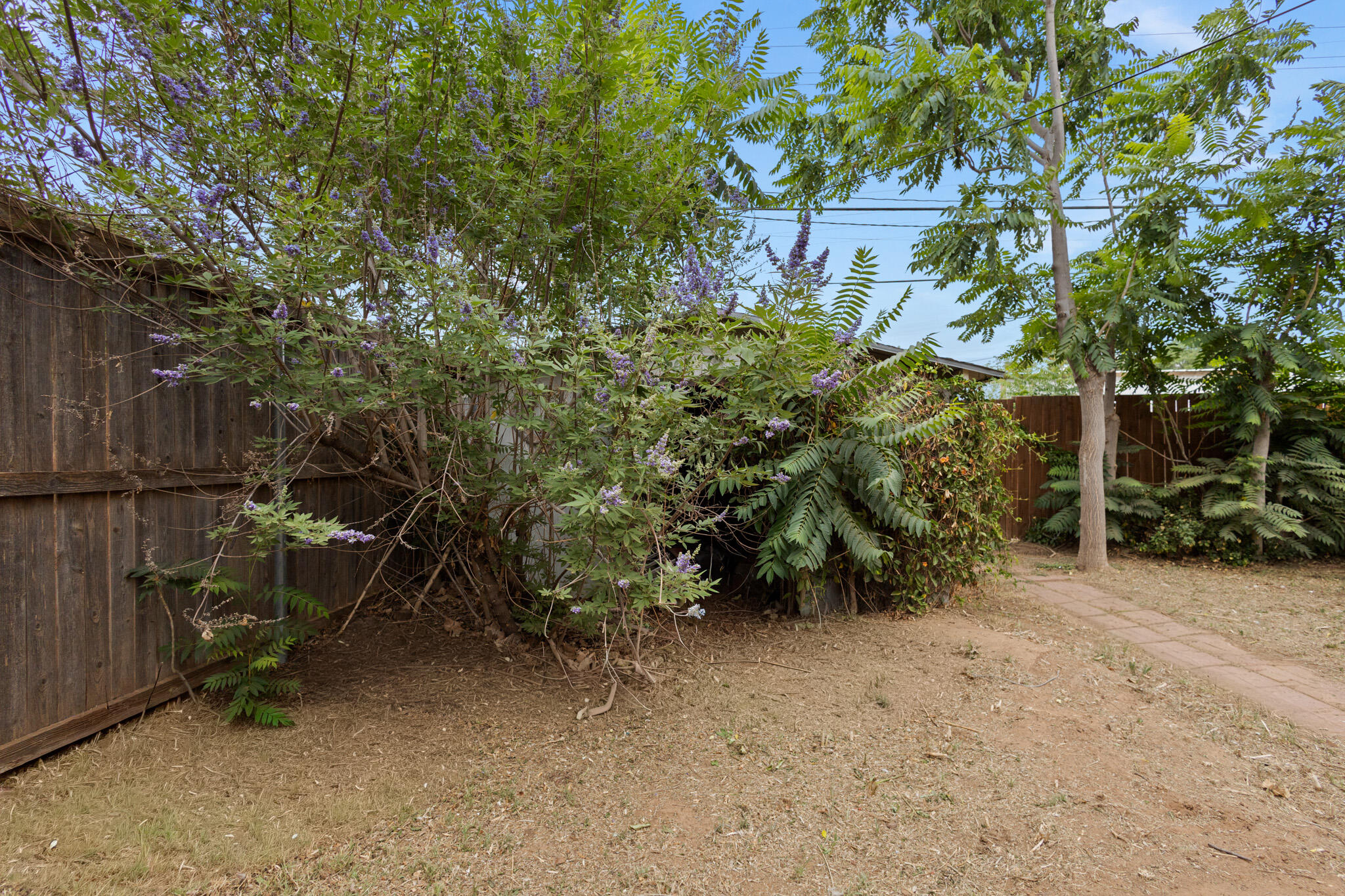 4316 45th Street Lubbock, TX 79413 - Photo 56 of 60 IMG_8281