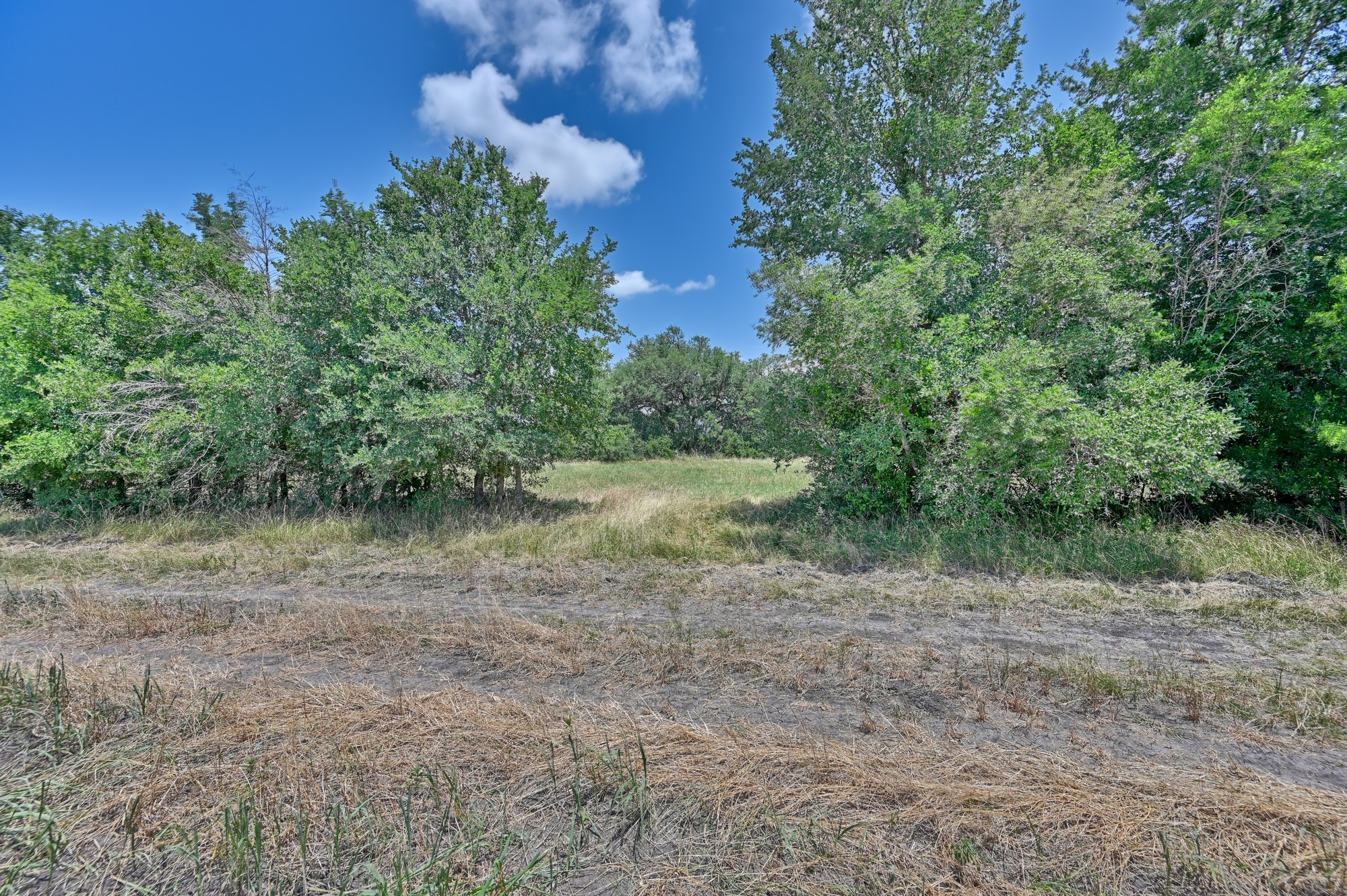 6238 Kovar Road Fayetteville, TX 78940 - Photo 14 of 28