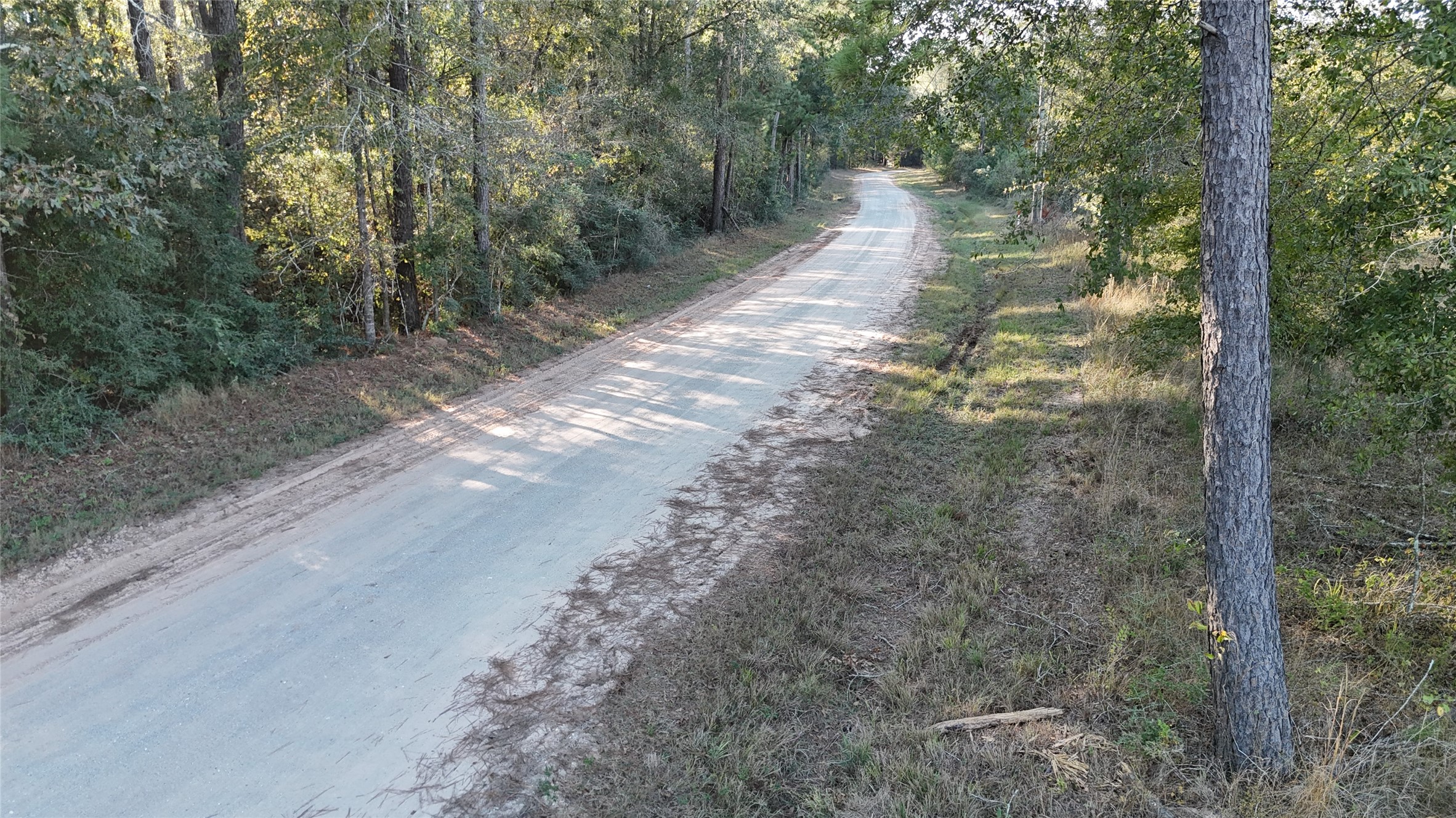 3711 Felix Currie Road Point Blank, TX 77364 - Photo 11 of 21 a view of a pathway both side of yard