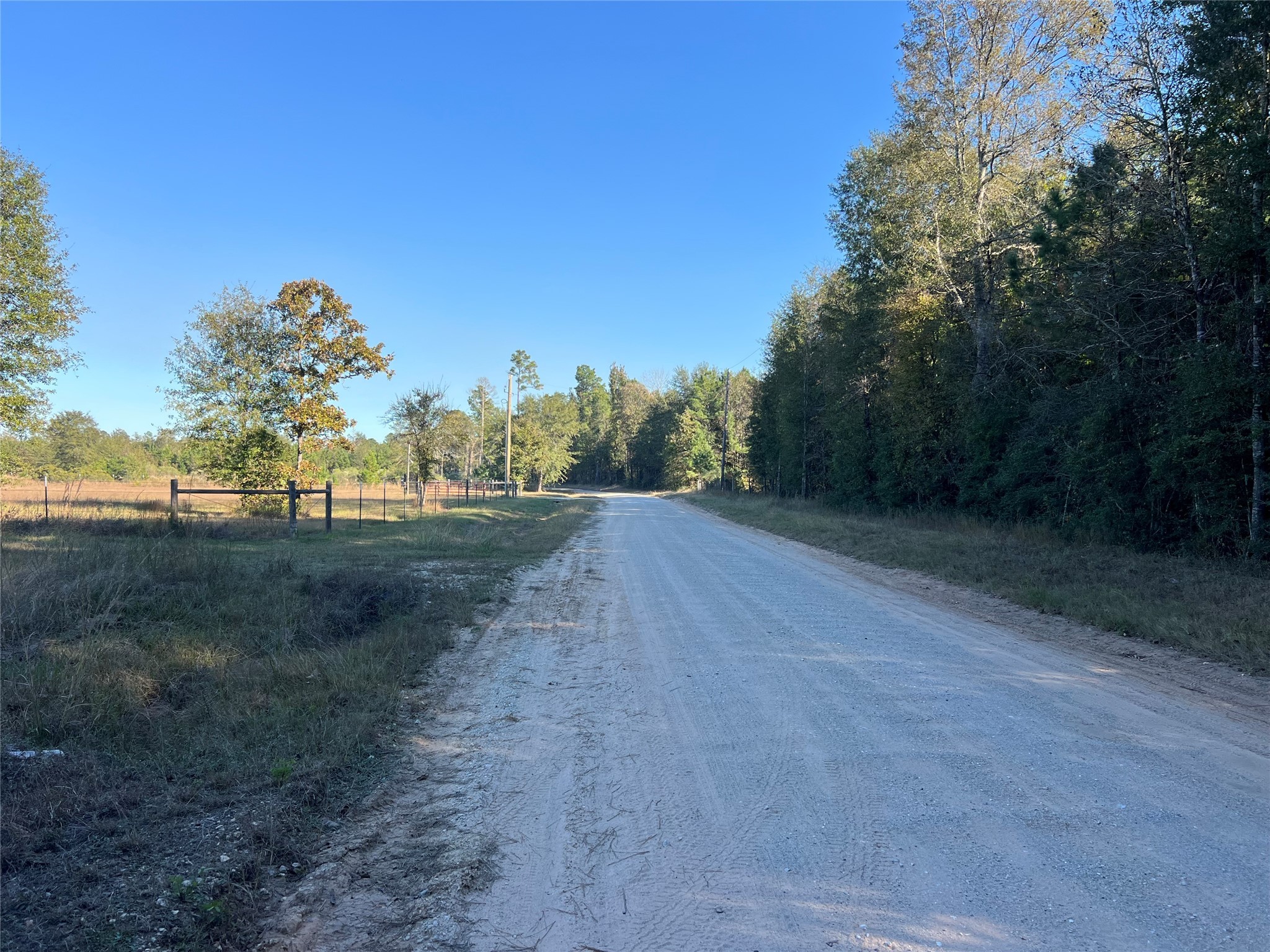 3711 Felix Currie Road Point Blank, TX 77364 - Photo 12 of 21 a view of a grassy area with trees