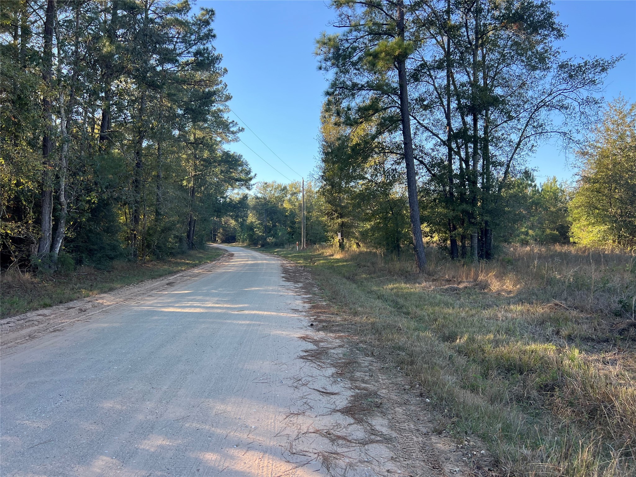 3711 Felix Currie Road Point Blank, TX 77364 - Photo 13 of 21 a view of outdoor space with trees