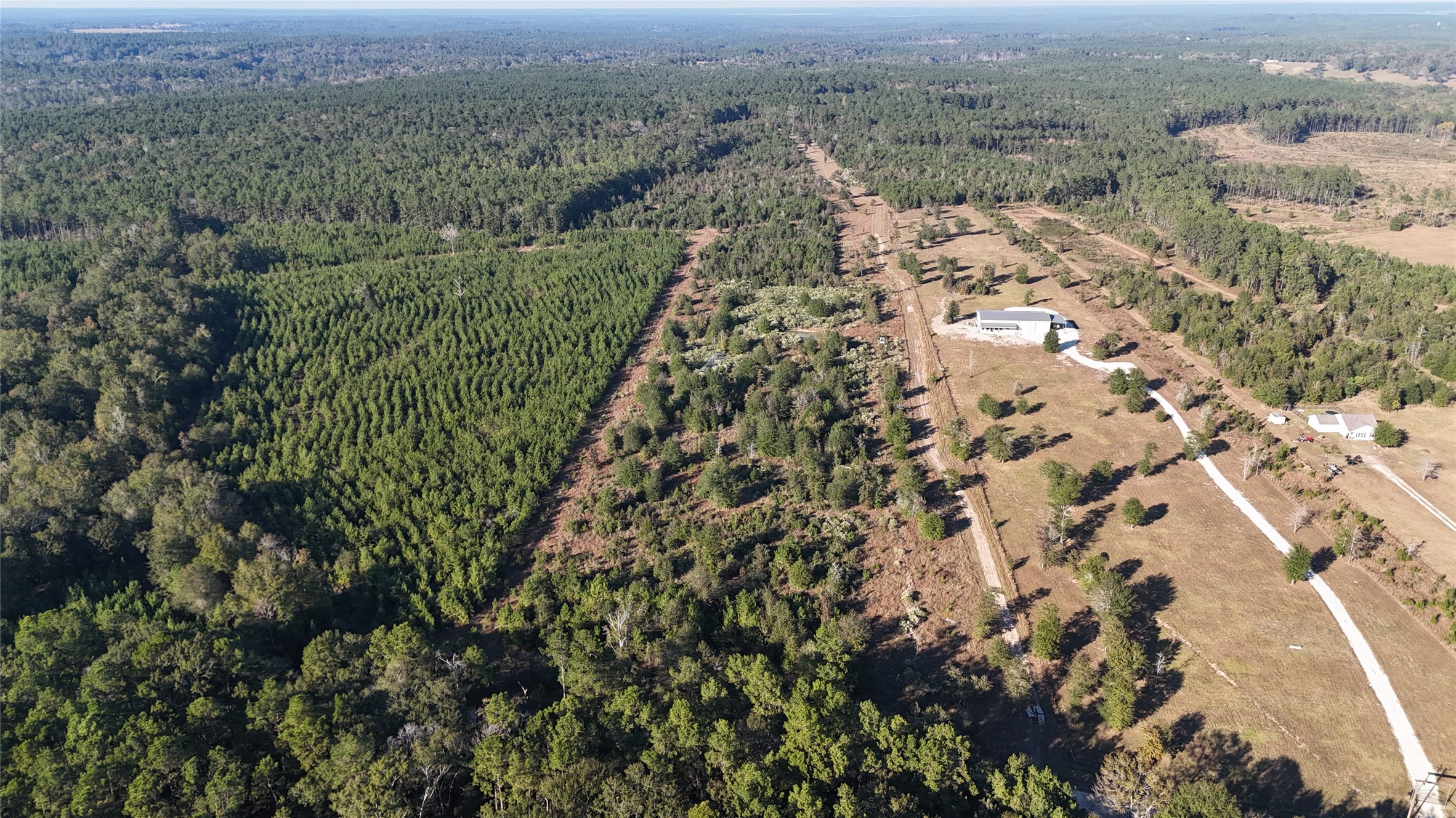 3711 Felix Currie Road Point Blank, TX 77364 - Photo 16 of 21 an aerial view of a house with a yard