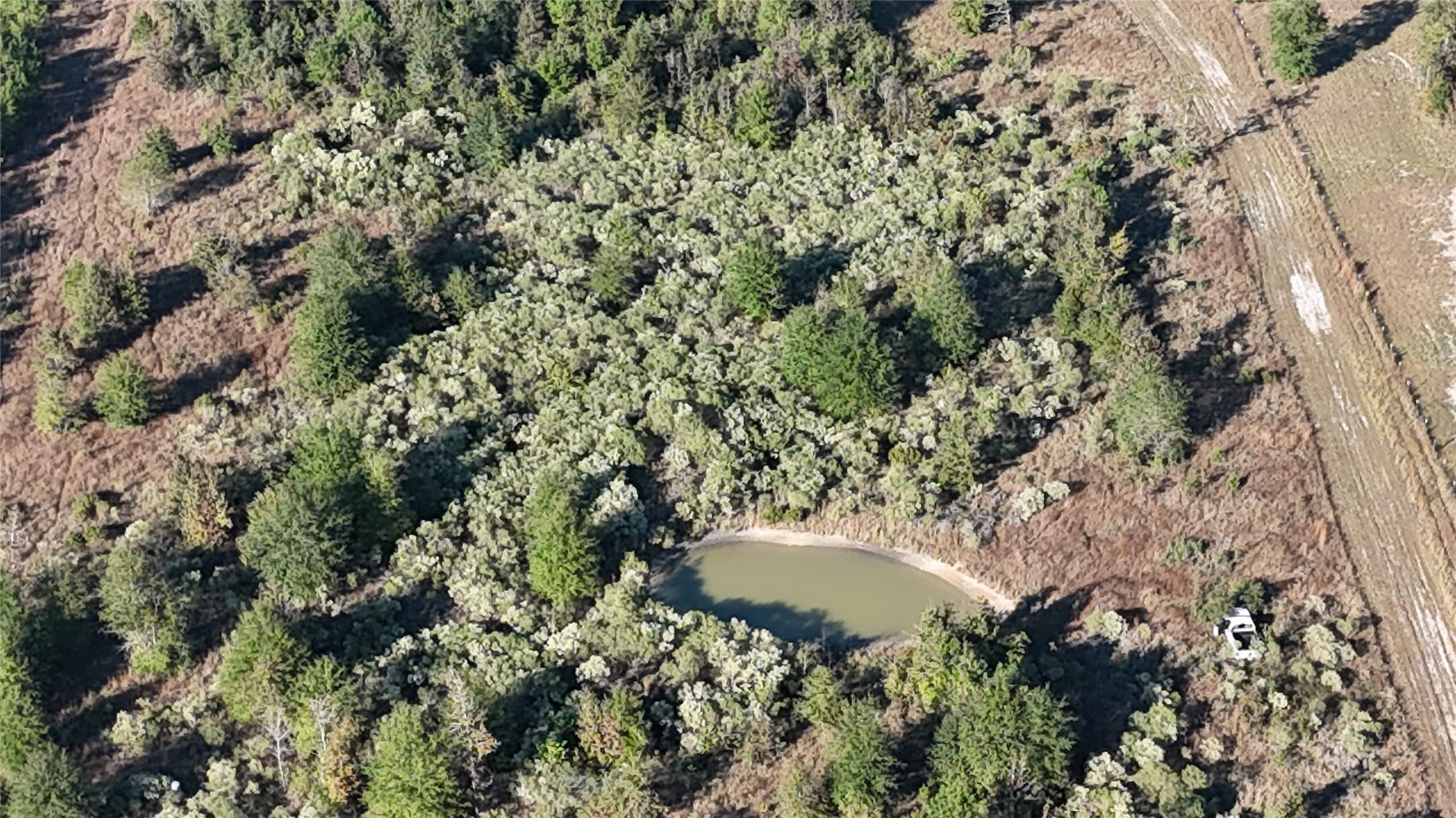 3711 Felix Currie Road Point Blank, TX 77364 - Photo 17 of 21 a view of a outdoor space and a forest