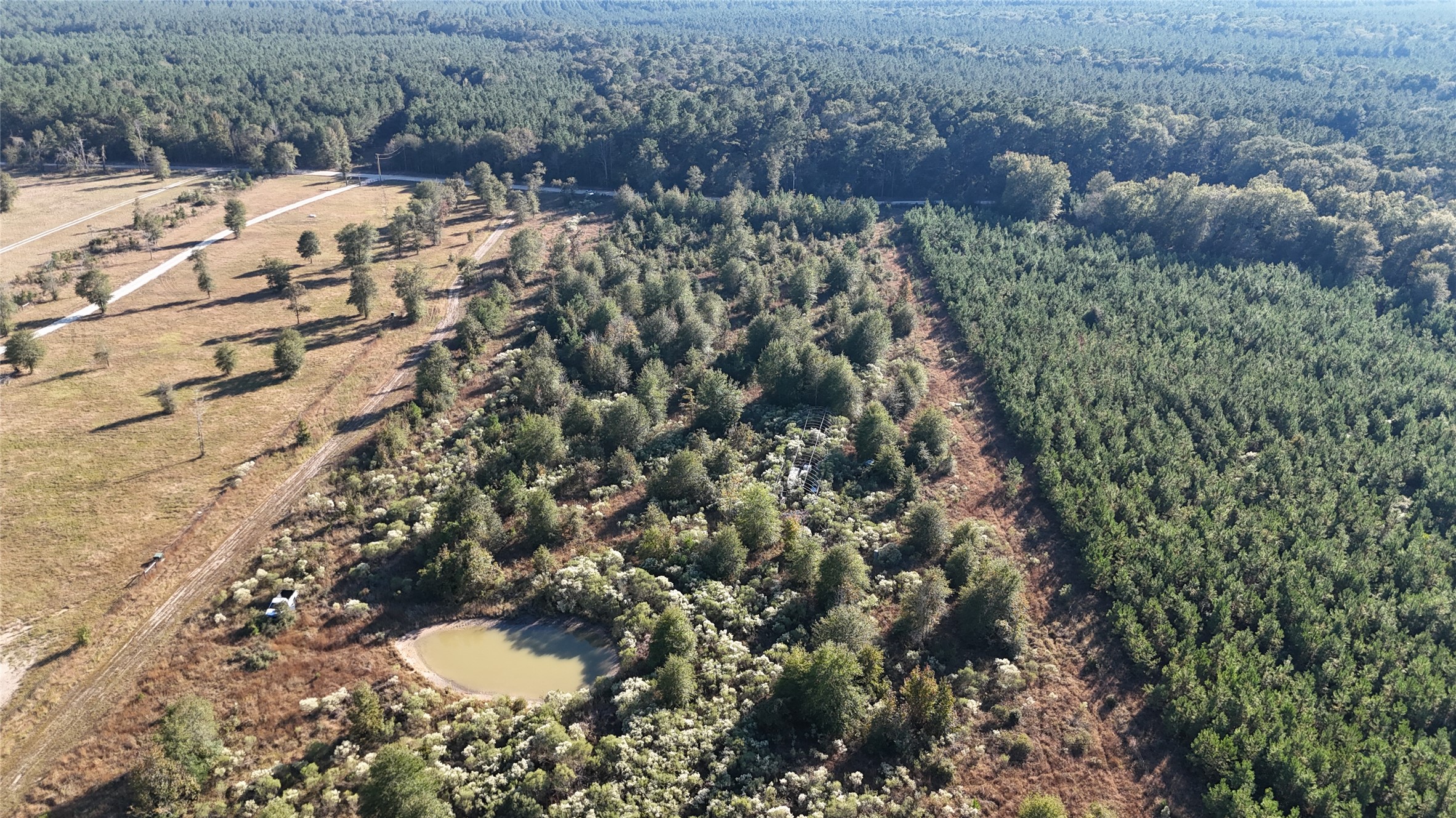 3711 Felix Currie Road Point Blank, TX 77364 - Photo 20 of 21 a view of outdoor space and city view